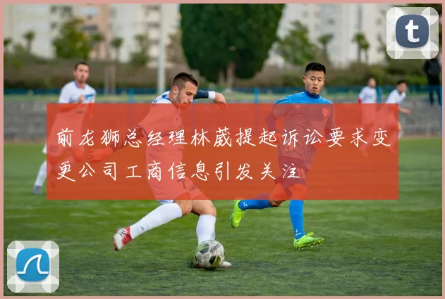 前龙狮总经理林葳提起诉讼要求变更公司工商信息引发关注